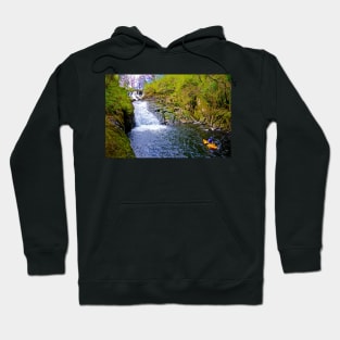 FLATWATER SWALLOWS Hoodie